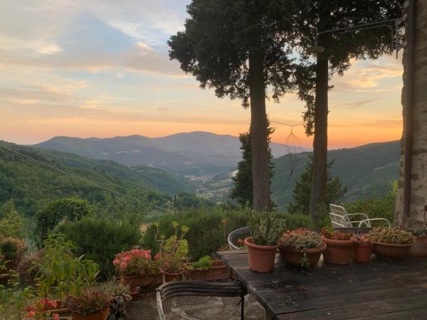 La Felce e il Mirtillo, Book  Il Palazzo Toscana