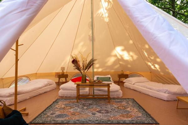 Jaskółkowo Glamping, Book Campingplads Pomerania Campingpladser, Campingplads