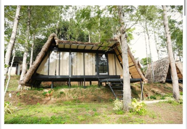 Lil Thatched camp, Book  Kanthalloor New Delhi