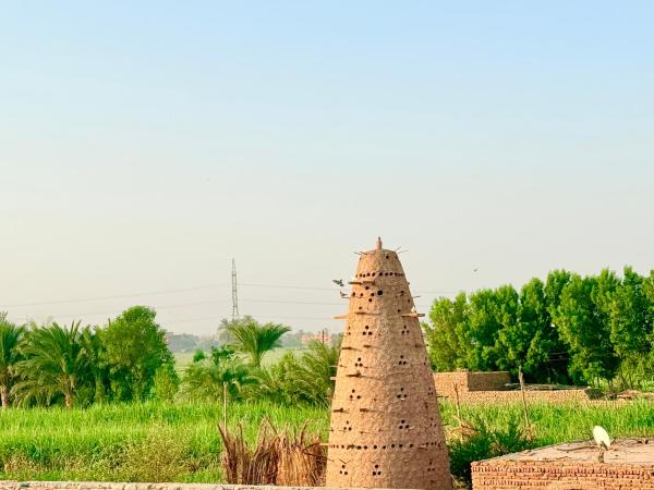 Bab Al Shams Palace, Book  Luxor 