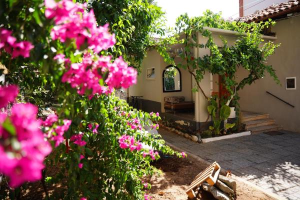Lemon House, Book  Tirana 