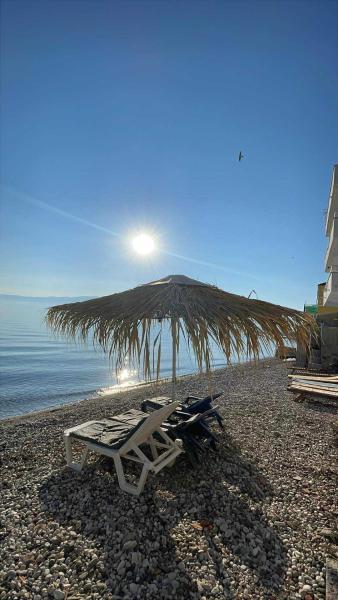 Guest house Lori, Book  Pogradec 