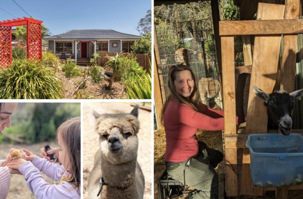 Blue Mountains Urban Farm Stay near Sydney, Book  Hazelbrook New South Wales
