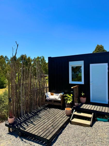 Ecos de Catrianca, Book  Pichilemu O'Higgins