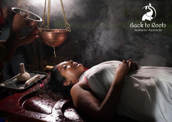 Back to Roots Ayurveda Retreat, Book  Kizhake Chālakudi New Delhi