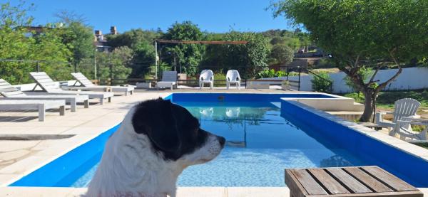 SIMION, Book  Villa Carlos Paz 
