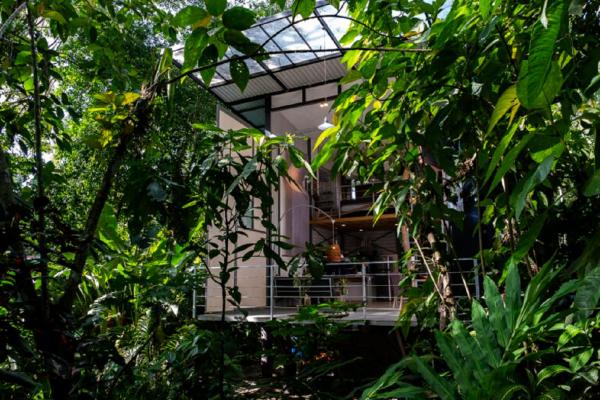 Perezoso Villa. Jurassic Park loft in the jungle, Book  Puerto Viejo Limon
