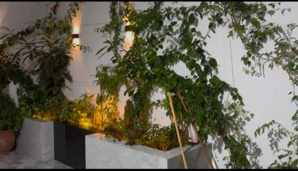 Villa tissir Tanger, Book  Marrakech-Tensift-Haouz hoteller med parkering, Parkering