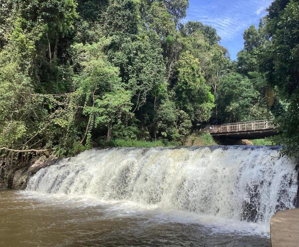 Malanda Falls Retreat, Book  Malanda Queensland