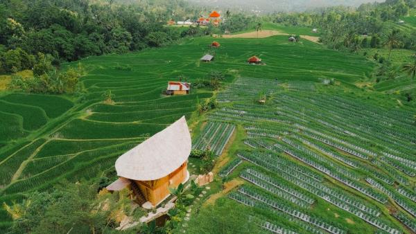 Nirwana Bamboo Villa Eco Retreat in North Bali, Book  Ambengan Bali