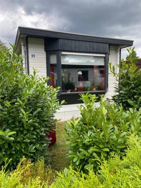Tiny Chalet Sole in Putten, Book Chalet Gelderland hoteller med pool, Swimmingpool