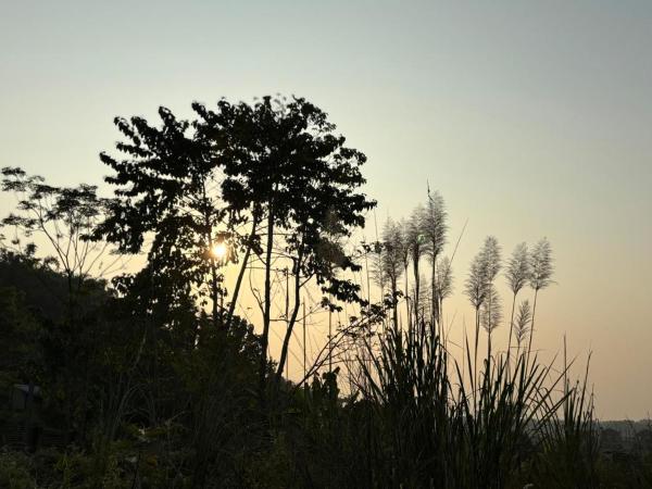 Teplong - The Paix, Kaziranga, Book  Kaolākhāt Assam
