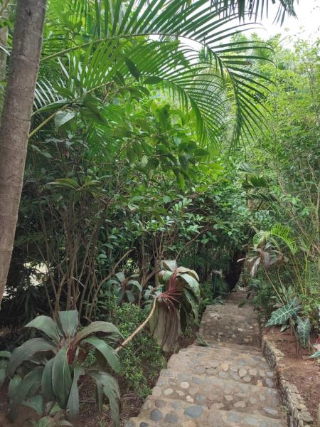 Hotel San Rafael, Book  Santa Marta Magdalena