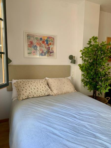 Apartamentos plaza América , Oviedo centro, Book  Oviedo Asturias