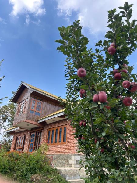 The Mool Farm and Living, Book  Tangmarg 
