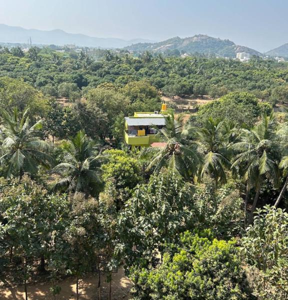 Thanapalli FarmHouse, Book  Tirupati Andhra Pradesh
