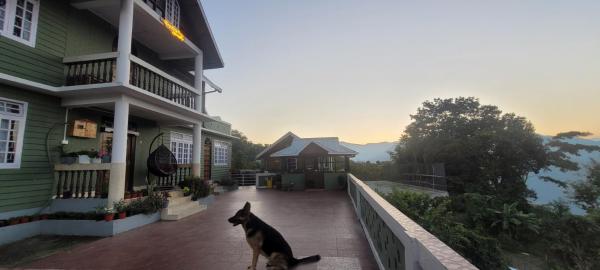 Ringkingpong homestay, Book  Kalimpong West Bengal