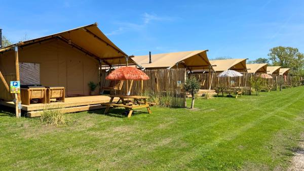 Safari lodge, Book  Petten 