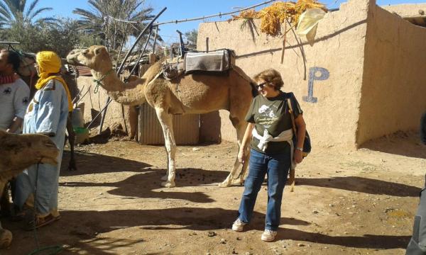 Dar dmana chez lhabitant, Book  Skoura 