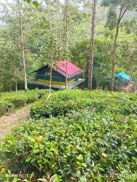 Organic Farmers Tent & Trekking, Book  Yedapalli Tamil Nadu