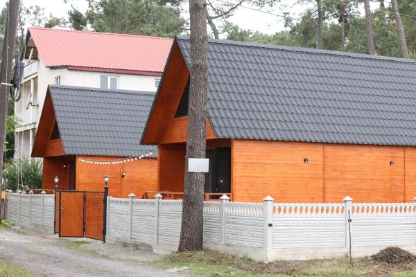 Cottage in Forest Wave - კოტეჯი ტყის ტალღებში, Book  Grigoleti 