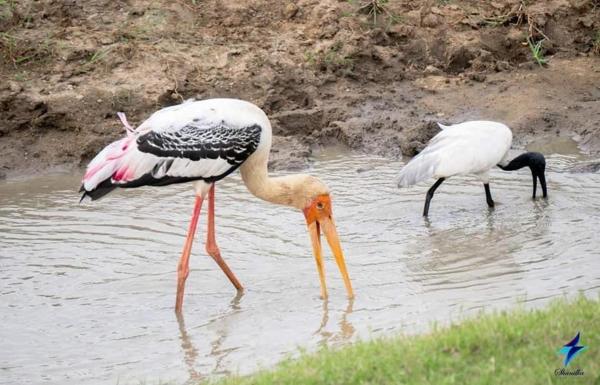 Nature's peak Udawalawa, Book  Matale District hoteller med parkering, Parkering