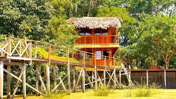Jambu Hostel Combu, Book  Hoteller i Northern Brazil med pool, Swimmingpool