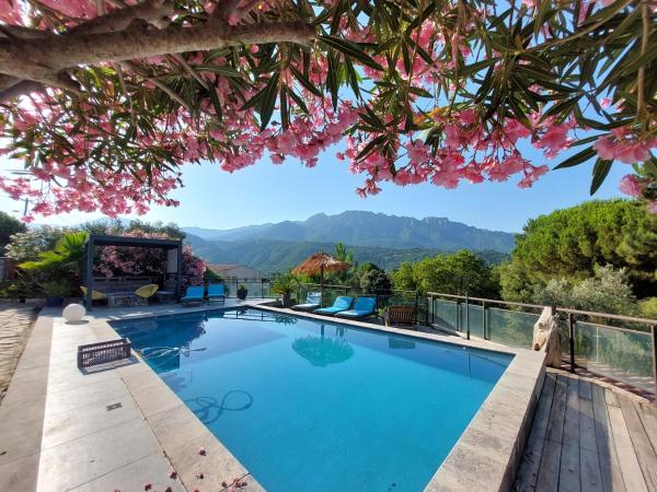 Villa rundinella, Book  Vero hoteller med pool, Swimmingpool