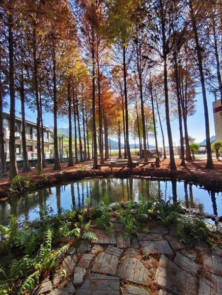 寵物友善 漫步森活 九樺落羽松民宿, Book  Guoxing Nantou