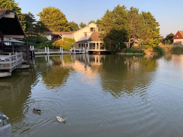 Large lakeside house - Mayvillage, Book  Le Touquet-Paris-Plage 