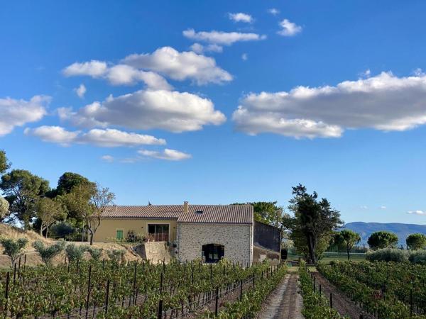 Domaine Saint Antoine, Book  Rieux-Minervois Aude