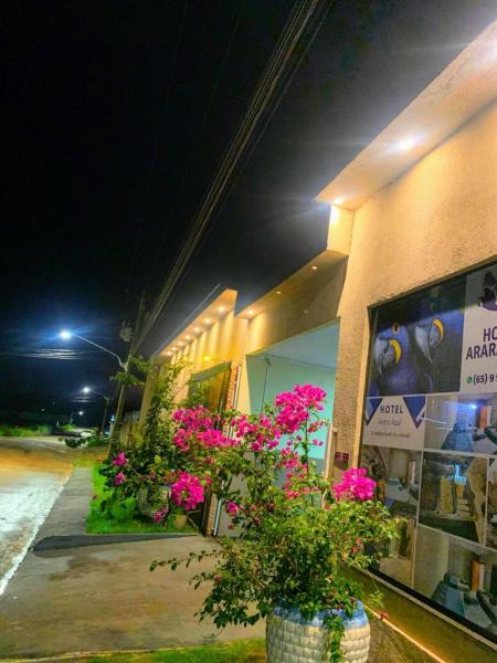 Hotel Arara Azul, Book   