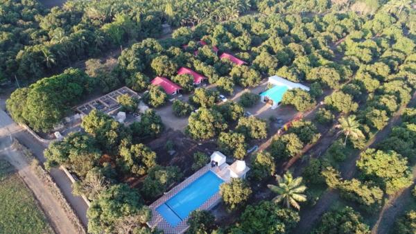 Danak Farm And Resort, Book  Gujarat hoteller med pool, Swimmingpool