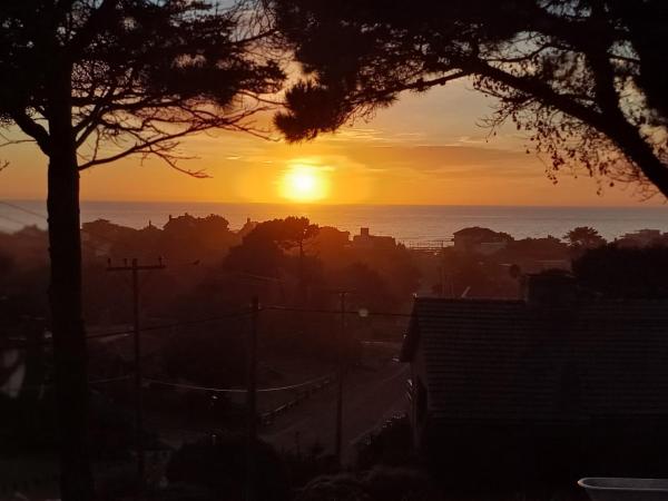 La casa más alta de Pinamar, Book  Pinamar 