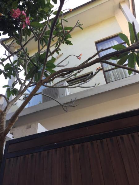 Villa Griya Harum, Book  Sanur Kaja Denpasar Municipality