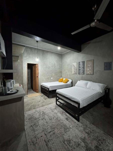 greyhouse moalboal, Book  Moalboal 