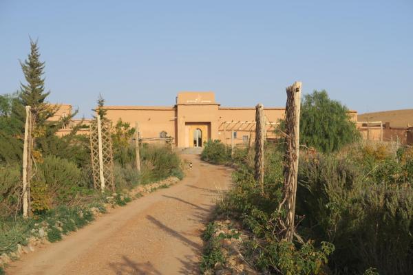 Tigmi NDounit Lodge et Nature, Book   