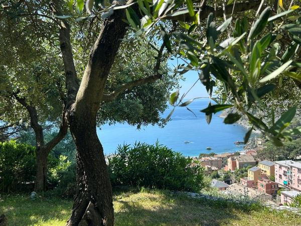 Villa Renata - amazing sea view garden terrrace, Book  Monterosso al Mare Cinque Terre