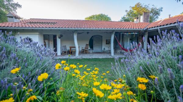 Cosmoqui Casa Boutique, Book  Villa Las Rosas 