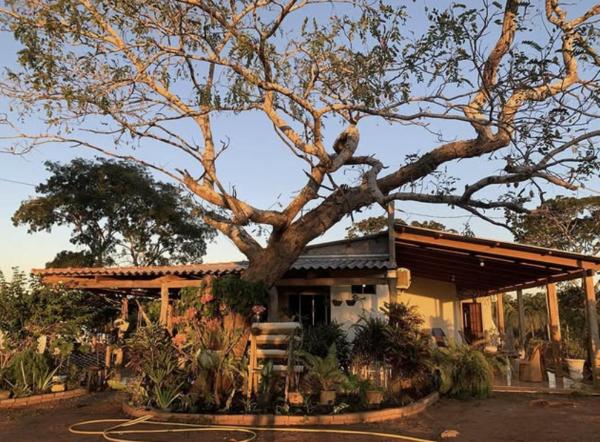 Pousada da Zita, Book  Hoteller i West-Central Brazil med pool, Swimmingpool