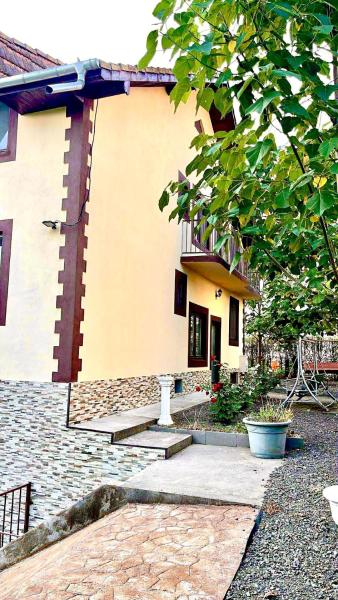 Casa Cosmina, Book  Sannicolau Mare 
