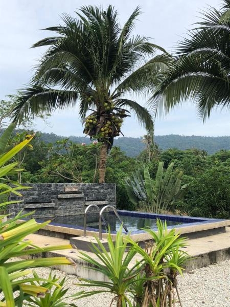 The Pura Rimba Residences Langkawi, Book  Kedah hoteller med pool, Swimmingpool