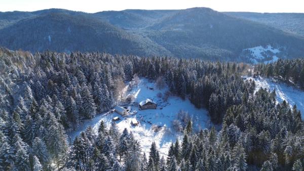 Gite à la ferme aux Alpagas, Book  Alsace hoteller med morgenmad, Morgenmad