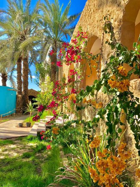 Arkan siwa أركان سيوة, Book  North Coast hoteller med morgenmad, Morgenmad