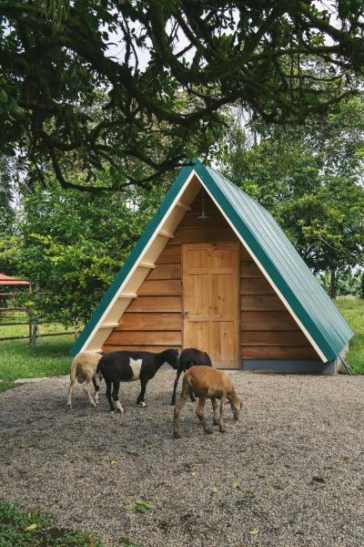 Musasana Wellness Farm, Book  Heredia SPA hoteller, SPA