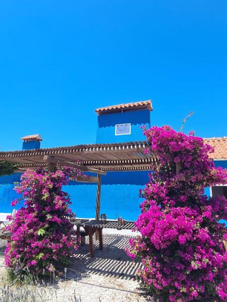 CasAzul Slow Stay in Nature, Book  Bicas hoteller med pool, Swimmingpool