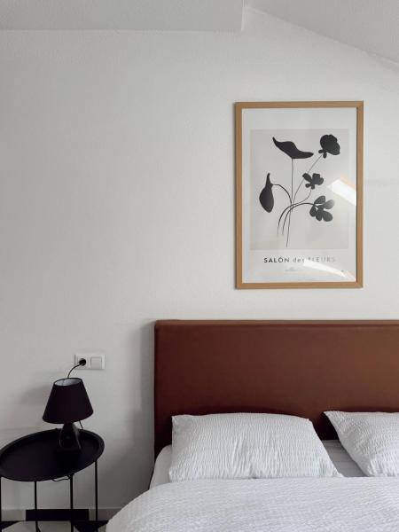 Nook 95 Rooms, Book  Prizren Prizren County