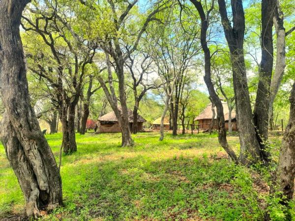 River Range Camp, Book  Pandamatenga Zimbabwe