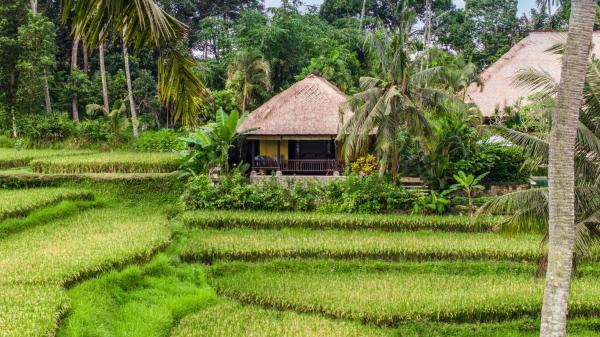 Imperial Villa in Ubud - Majestic Beauty and Nature, Book  Hoteller i Bali med pool, Swimmingpool