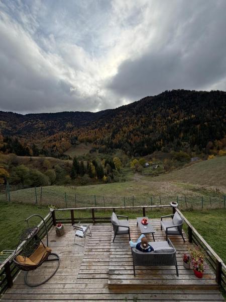 Mitarbi Silence - cozy holiday cottages in mountains, Book  Borjomi Samckhe Javakheti
